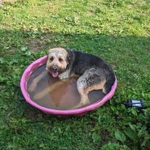 Meet your Posher, Tn gerhold family